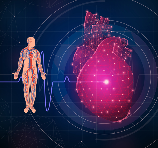 human-heart human-heart