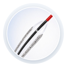 Ascribe Coronary Cutting Balloon detail